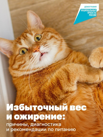 Во Всемирный день борьбы с ожирением.