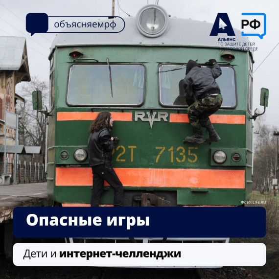 ✔️ Интернет-челленджи.